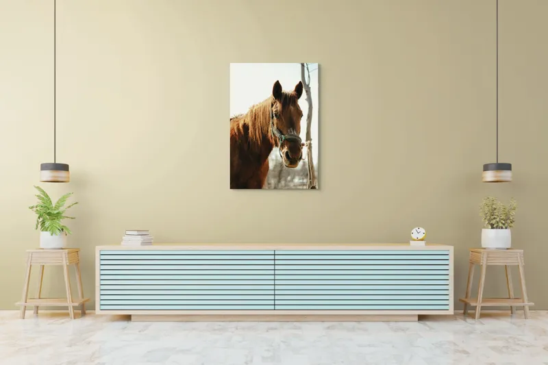 Tablou Canvas, "Calul viselor sub cer senin", Iată câteva cuvinte care descriu imaginea: Cal, Maro, Harnașament, Blană, Cer, Arbore, Natură, 70 x 100 cm – poza 5