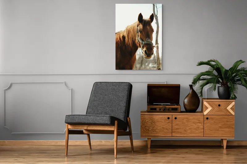 Tablou Canvas, "Calul viselor sub cer senin", Iată câteva cuvinte care descriu imaginea: Cal, Maro, Harnașament, Blană, Cer, Arbore, Natură, 70 x 100 cm – poza 6