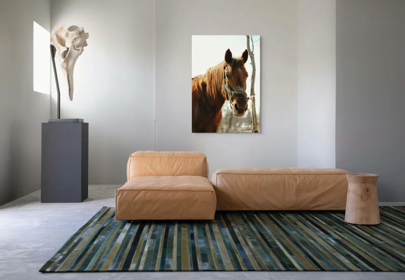Tablou Canvas, "Calul viselor sub cer senin", Iată câteva cuvinte care descriu imaginea: Cal, Maro, Harnașament, Blană, Cer, Arbore, Natură, 70 x 100 cm – poza 7