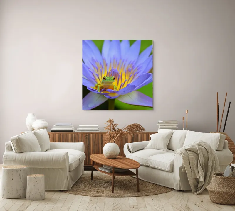 Tablou Canvas, "Broasca pe floare de nufăr albăstruie", Floare, Broască, Mov, Verde, Natură, Frumusețe, Delicatețe, 100 x 100 cm – poza 3