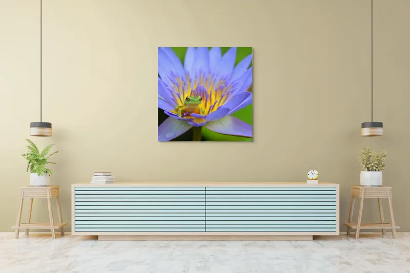 Tablou Canvas, "Broasca pe floare de nufăr albăstruie", Floare, Broască, Mov, Verde, Natură, Frumusețe, Delicatețe, 100 x 100 cm – poza 5
