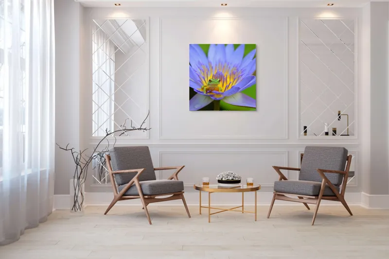 Tablou Canvas, "Broasca pe floare de nufăr albăstruie", Floare, Broască, Mov, Verde, Natură, Frumusețe, Delicatețe, 100 x 100 cm – poza 7
