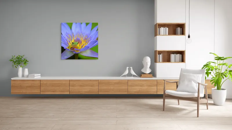 Tablou Canvas, "Broasca pe floare de nufăr albăstruie", Floare, Broască, Mov, Verde, Natură, Frumusețe, Delicatețe, 100 x 100 cm – poza 8