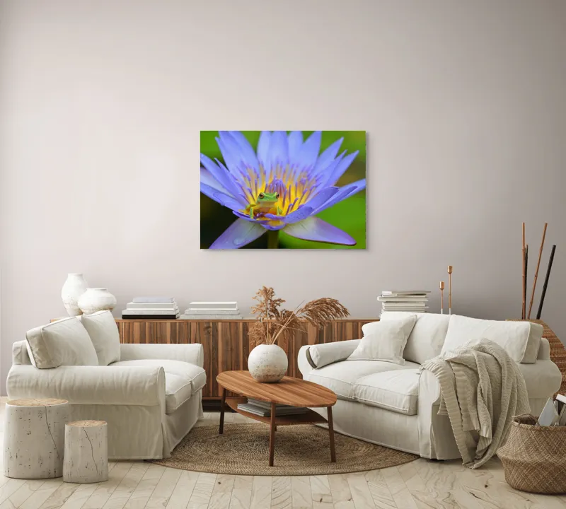 Tablou Canvas, "Broasca pe floare de nufăr albăstruie", Floare, Broască, Mov, Verde, Natură, Frumusețe, Delicatețe, 100 x 70 cm – poza 3