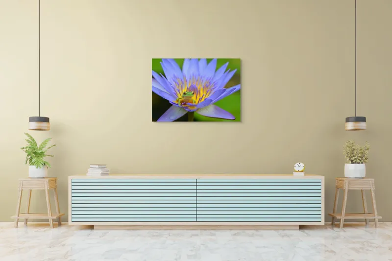 Tablou Canvas, "Broasca pe floare de nufăr albăstruie", Floare, Broască, Mov, Verde, Natură, Frumusețe, Delicatețe, 100 x 70 cm – poza 4