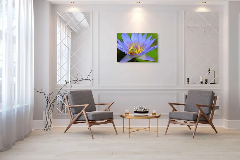 Tablou Canvas, "Broasca pe floare de nufăr albăstruie", Floare, Broască, Mov, Verde, Natură, Frumusețe, Delicatețe, 100 x 70 cm – poza 5
