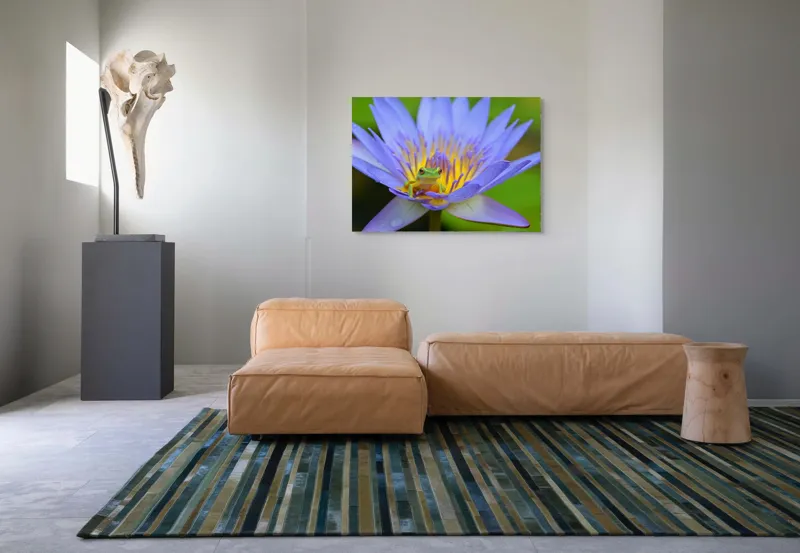 Tablou Canvas, "Broasca pe floare de nufăr albăstruie", Floare, Broască, Mov, Verde, Natură, Frumusețe, Delicatețe, 100 x 70 cm – poza 7