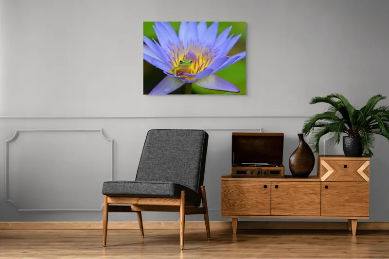Tablou Canvas, "Broasca pe floare de nufăr albăstruie", Floare, Broască, Mov, Verde, Natură, Frumusețe, Delicatețe, 100 x 70 cm – poza 8