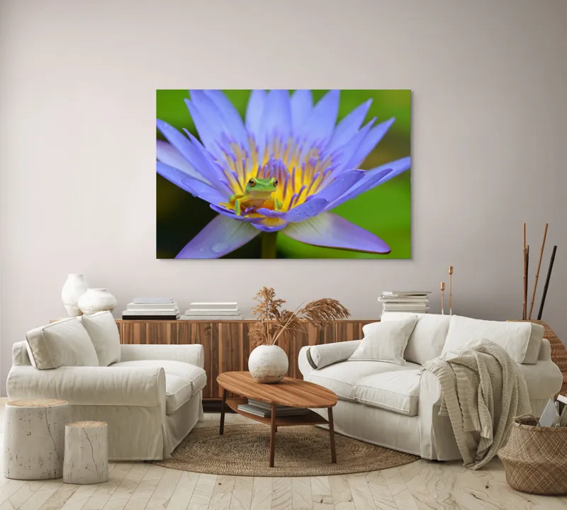 Tablou Canvas, "Broasca pe floare de nufăr albăstruie", Floare, Broască, Mov, Verde, Natură, Frumusețe, Delicatețe, 150 x 100 cm – poza 3