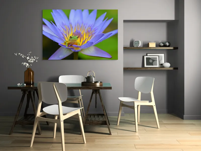 Tablou Canvas, "Broasca pe floare de nufăr albăstruie", Floare, Broască, Mov, Verde, Natură, Frumusețe, Delicatețe, 150 x 100 cm – poza 5