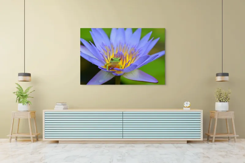 Tablou Canvas, "Broasca pe floare de nufăr albăstruie", Floare, Broască, Mov, Verde, Natură, Frumusețe, Delicatețe, 150 x 100 cm – poza 6