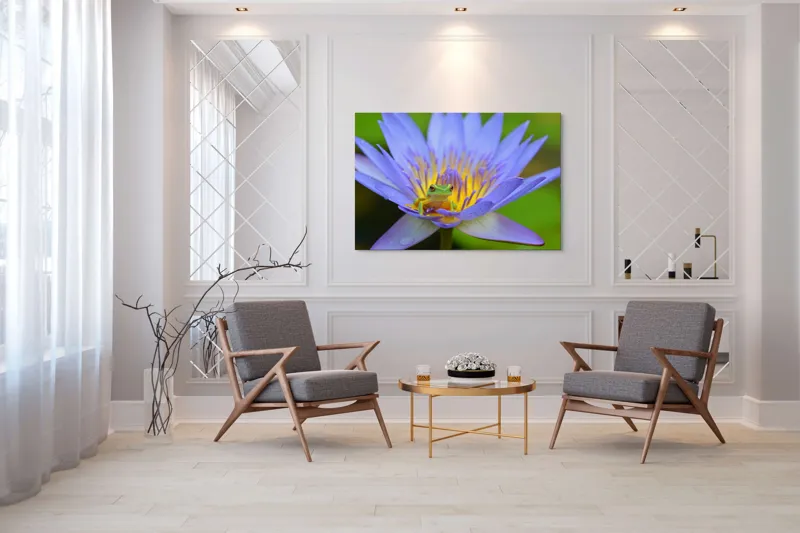 Tablou Canvas, "Broasca pe floare de nufăr albăstruie", Floare, Broască, Mov, Verde, Natură, Frumusețe, Delicatețe, 150 x 100 cm – poza 7