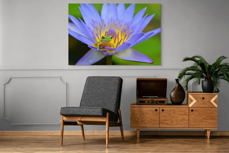 Tablou Canvas, "Broasca pe floare de nufăr albăstruie", Floare, Broască, Mov, Verde, Natură, Frumusețe, Delicatețe, 150 x 100 cm – poza 8