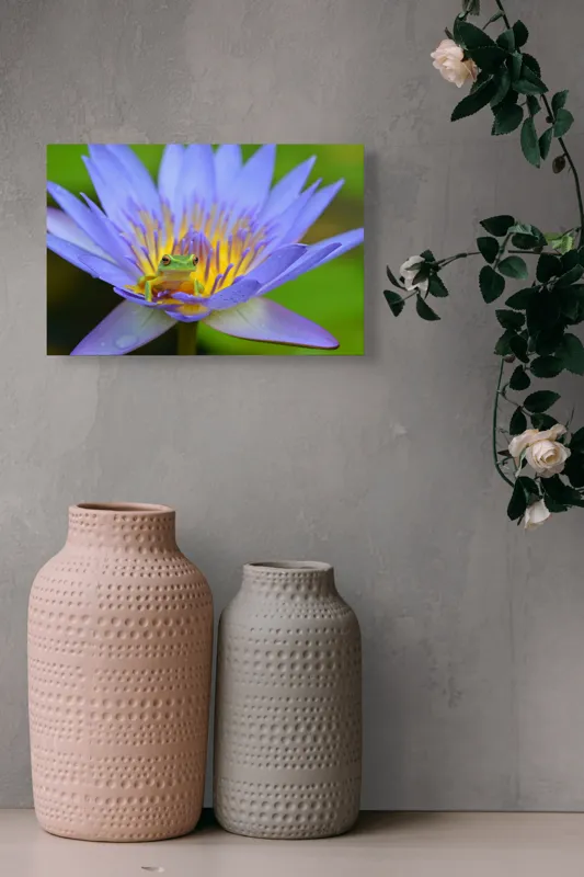 Tablou Canvas, "Broasca pe floare de nufăr albăstruie", Floare, Broască, Mov, Verde, Natură, Frumusețe, Delicatețe, 39 x 26 cm – poza 4