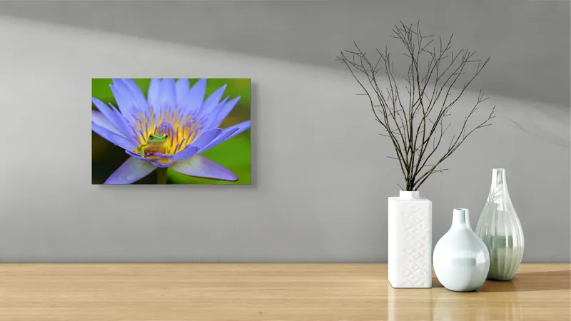 Tablou Canvas, "Broasca pe floare de nufăr albăstruie", Floare, Broască, Mov, Verde, Natură, Frumusețe, Delicatețe, 39 x 26 cm – poza 8