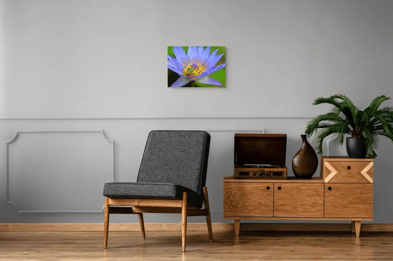 Tablou Canvas, "Broasca pe floare de nufăr albăstruie", Floare, Broască, Mov, Verde, Natură, Frumusețe, Delicatețe, 54 x 39 cm – poza 7