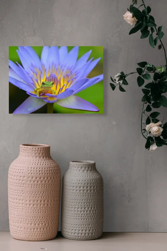 Tablou Canvas, "Broasca pe floare de nufăr albăstruie", Floare, Broască, Mov, Verde, Natură, Frumusețe, Delicatețe, 54 x 39 cm – poza 8