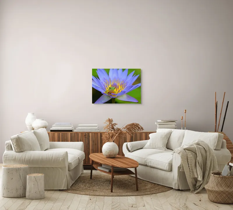 Tablou Canvas, "Broasca pe floare de nufăr albăstruie", Floare, Broască, Mov, Verde, Natură, Frumusețe, Delicatețe, 70 x 50 cm – poza 6