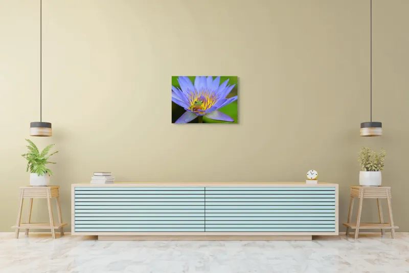 Tablou Canvas, "Broasca pe floare de nufăr albăstruie", Floare, Broască, Mov, Verde, Natură, Frumusețe, Delicatețe, 70 x 50 cm – poza 7