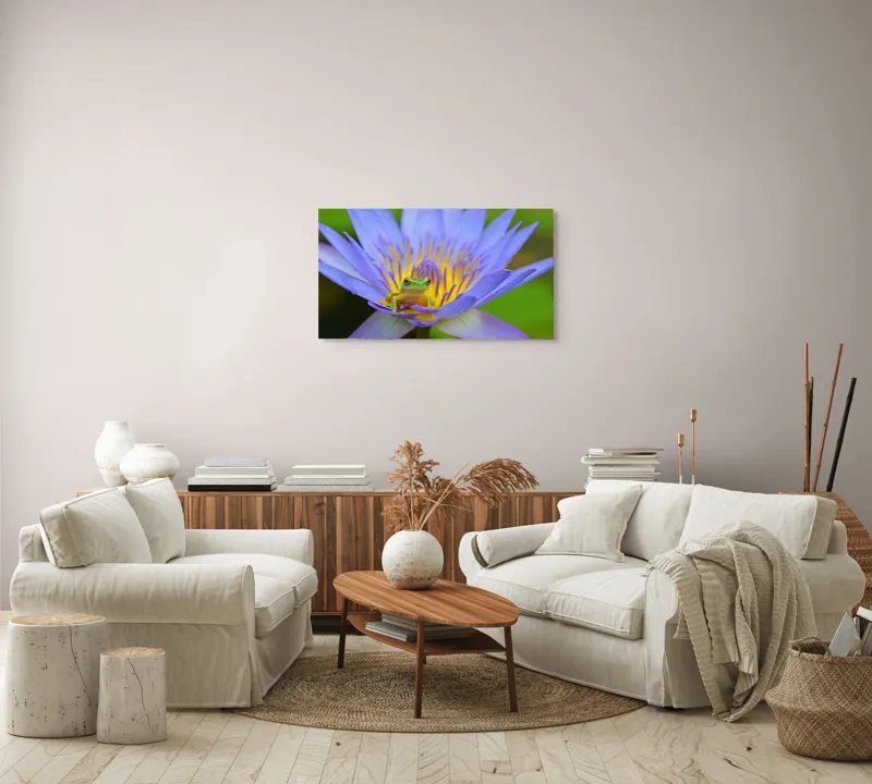 Tablou Canvas, "Broasca pe floare de nufăr albăstruie", Floare, Broască, Mov, Verde, Natură, Frumusețe, Delicatețe, 90 x 50 cm – poza 4