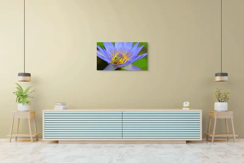 Tablou Canvas, "Broasca pe floare de nufăr albăstruie", Floare, Broască, Mov, Verde, Natură, Frumusețe, Delicatețe, 90 x 50 cm – poza 5