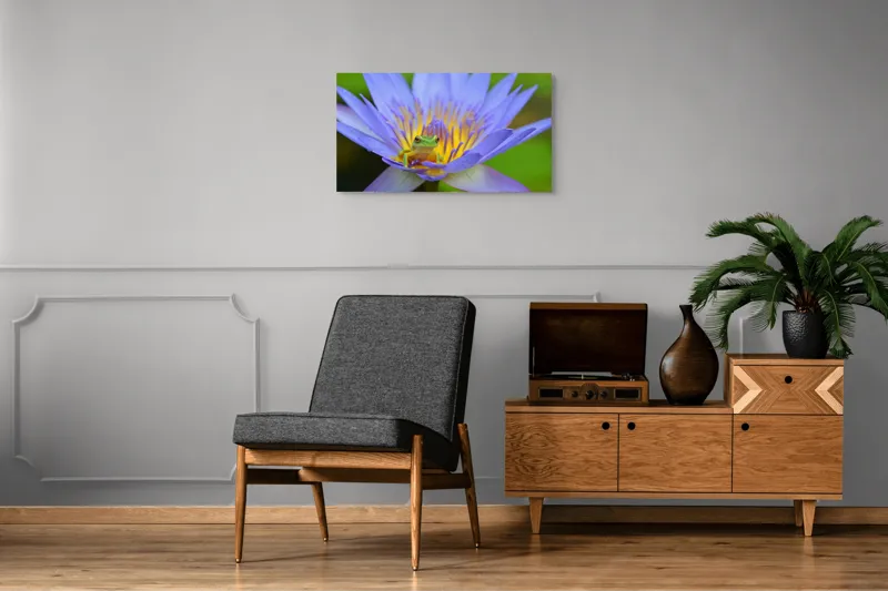 Tablou Canvas, "Broasca pe floare de nufăr albăstruie", Floare, Broască, Mov, Verde, Natură, Frumusețe, Delicatețe, 90 x 50 cm – poza 6