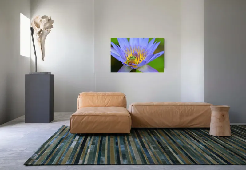 Tablou Canvas, "Broasca pe floare de nufăr albăstruie", Floare, Broască, Mov, Verde, Natură, Frumusețe, Delicatețe, 90 x 50 cm – poza 8