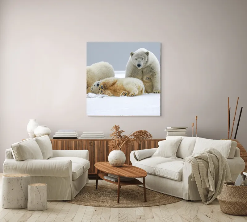 Tablou Canvas, "Urs polar cu pui pe gheață albă", Nu pot identifica sau recunoaște persoane sau animale în imagini., 100 x 100 cm – poza 3