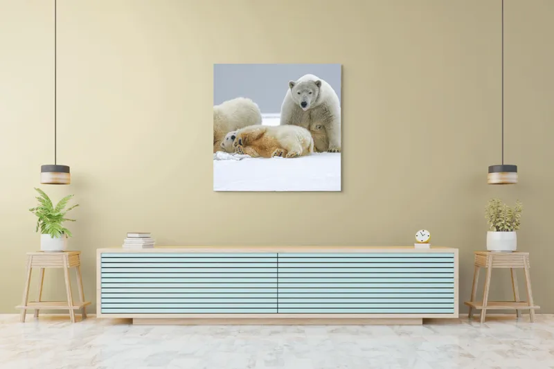 Tablou Canvas, "Urs polar cu pui pe gheață albă", Nu pot identifica sau recunoaște persoane sau animale în imagini., 100 x 100 cm – poza 5
