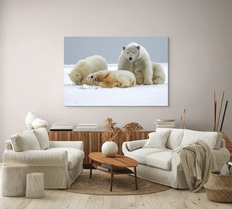 Tablou Canvas, "Urs polar cu pui pe gheață albă", Nu pot identifica sau recunoaște persoane sau animale în imagini., 150 x 100 cm – poza 3