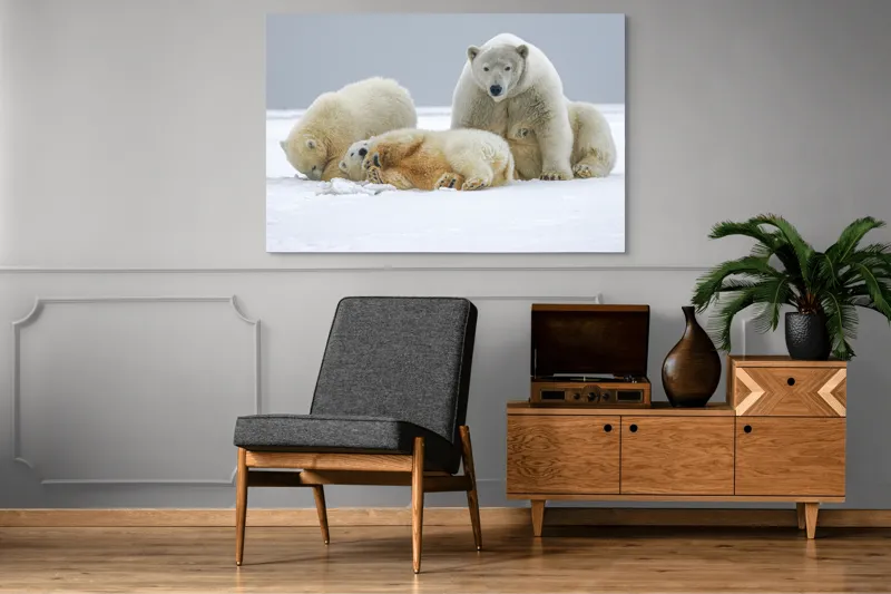 Tablou Canvas, "Urs polar cu pui pe gheață albă", Nu pot identifica sau recunoaște persoane sau animale în imagini., 150 x 100 cm – poza 8