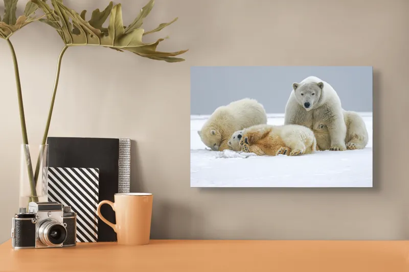 Tablou Canvas, "Urs polar cu pui pe gheață albă", Nu pot identifica sau recunoaște persoane sau animale în imagini., 39 x 26 cm – poza 3