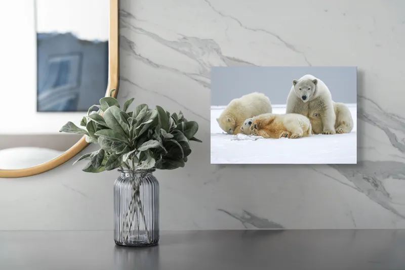 Tablou Canvas, "Urs polar cu pui pe gheață albă", Nu pot identifica sau recunoaște persoane sau animale în imagini., 39 x 26 cm – poza 5
