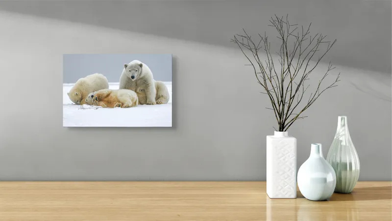 Tablou Canvas, "Urs polar cu pui pe gheață albă", Nu pot identifica sau recunoaște persoane sau animale în imagini., 39 x 26 cm – poza 8