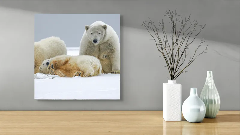 Tablou Canvas, "Urs polar cu pui pe gheață albă", Nu pot identifica sau recunoaște persoane sau animale în imagini., 50 x 50 cm – poza 3