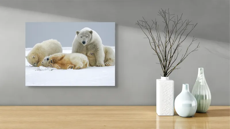 Tablou Canvas, "Urs polar cu pui pe gheață albă", Nu pot identifica sau recunoaște persoane sau animale în imagini., 54 x 39 cm – poza 3