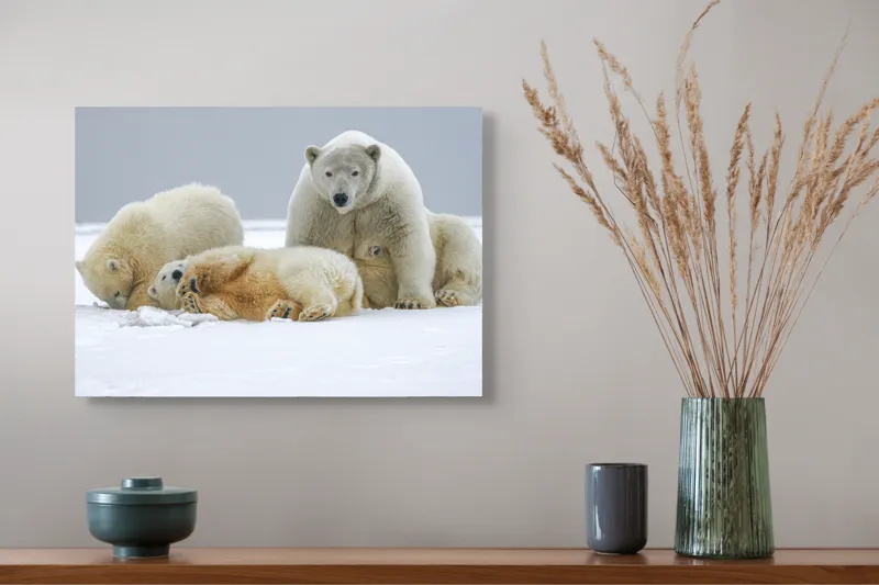 Tablou Canvas, "Urs polar cu pui pe gheață albă", Nu pot identifica sau recunoaște persoane sau animale în imagini., 54 x 39 cm – poza 4