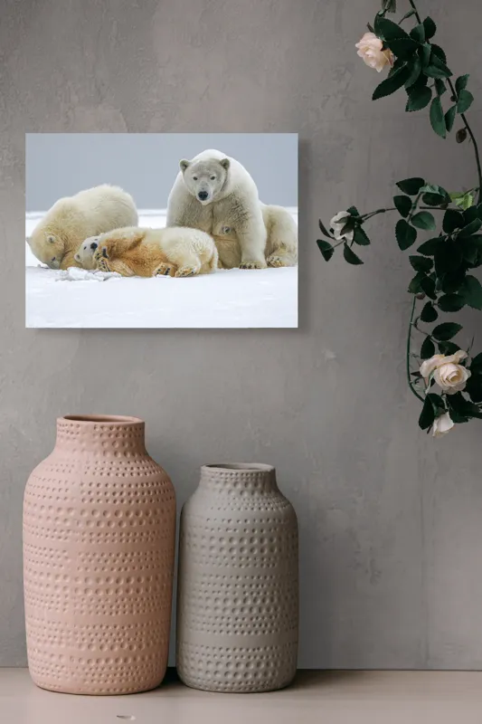 Tablou Canvas, "Urs polar cu pui pe gheață albă", Nu pot identifica sau recunoaște persoane sau animale în imagini., 54 x 39 cm – poza 8