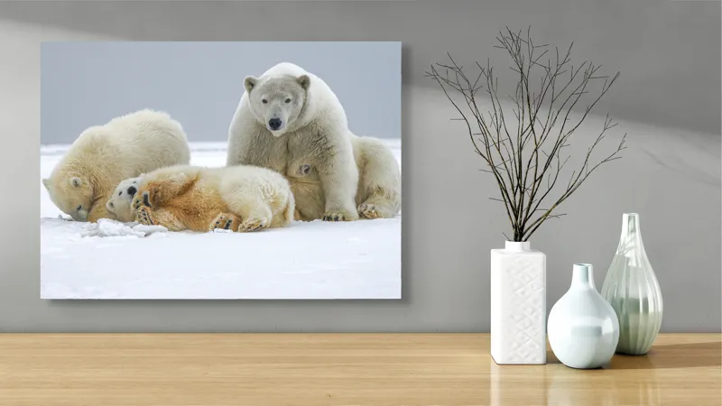 Tablou Canvas, "Urs polar cu pui pe gheață albă", Nu pot identifica sau recunoaște persoane sau animale în imagini., 70 x 50 cm – poza 3