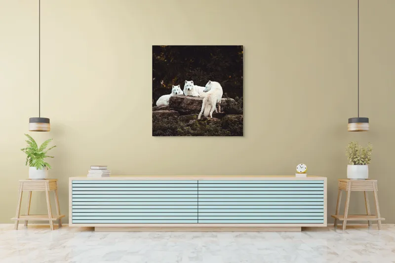 Tablou Canvas, "Lupi albi odihnindu-se în pădure", Lupi, Stânci, Pădure, Vegetație, Odihnă, Priviri, Alb, 100 x 100 cm – poza 5