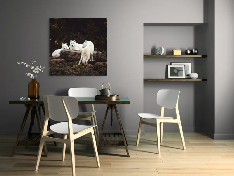 Tablou Canvas, "Lupi albi odihnindu-se în pădure", Lupi, Stânci, Pădure, Vegetație, Odihnă, Priviri, Alb, 100 x 100 cm – poza 6