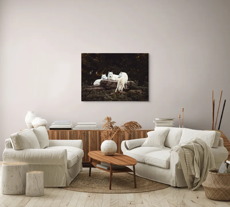 Tablou Canvas, "Lupi albi odihnindu-se în pădure", Lupi, Stânci, Pădure, Vegetație, Odihnă, Priviri, Alb, 100 x 70 cm – poza 3