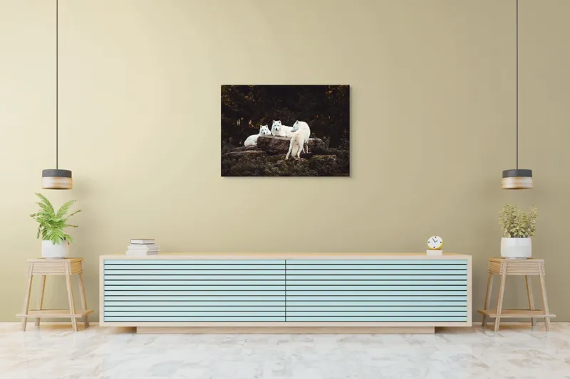 Tablou Canvas, "Lupi albi odihnindu-se în pădure", Lupi, Stânci, Pădure, Vegetație, Odihnă, Priviri, Alb, 100 x 70 cm – poza 4