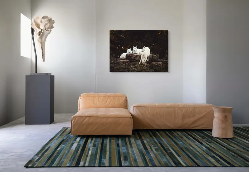 Tablou Canvas, "Lupi albi odihnindu-se în pădure", Lupi, Stânci, Pădure, Vegetație, Odihnă, Priviri, Alb, 100 x 70 cm – poza 7