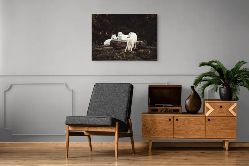 Tablou Canvas, "Lupi albi odihnindu-se în pădure", Lupi, Stânci, Pădure, Vegetație, Odihnă, Priviri, Alb, 100 x 70 cm – poza 8