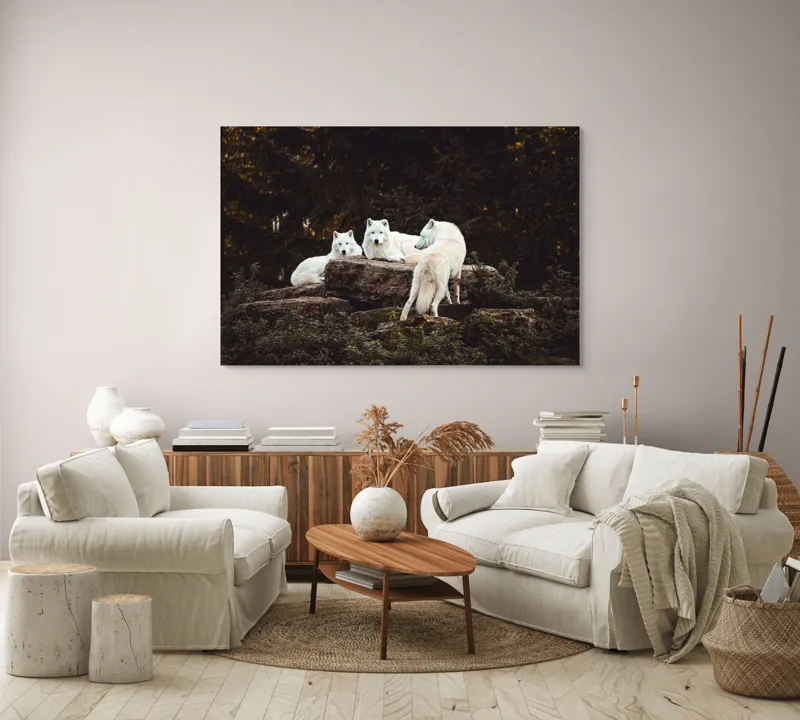 Tablou Canvas, "Lupi albi odihnindu-se în pădure", Lupi, Stânci, Pădure, Vegetație, Odihnă, Priviri, Alb, 150 x 100 cm – poza 3