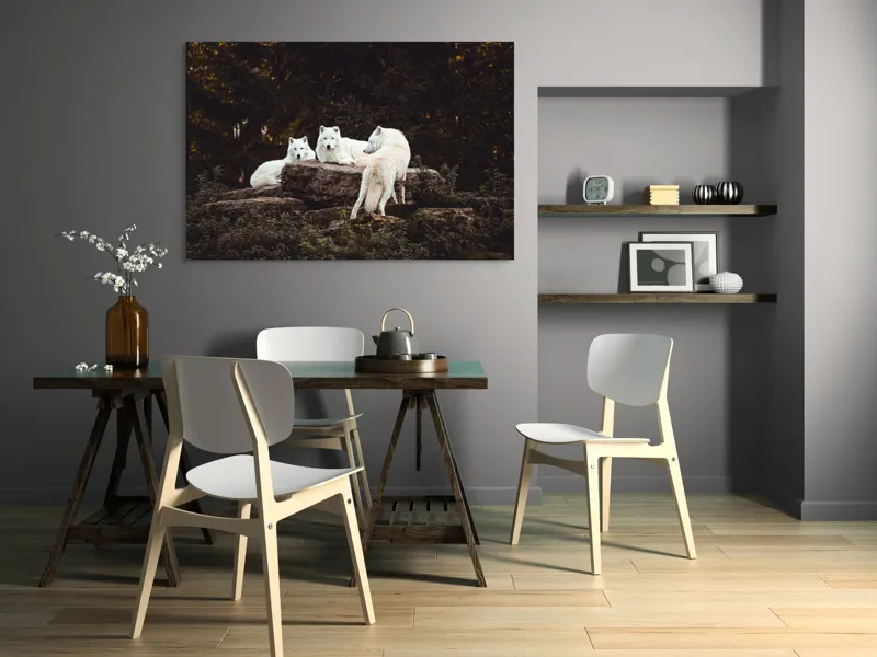 Tablou Canvas, "Lupi albi odihnindu-se în pădure", Lupi, Stânci, Pădure, Vegetație, Odihnă, Priviri, Alb, 150 x 100 cm – poza 5