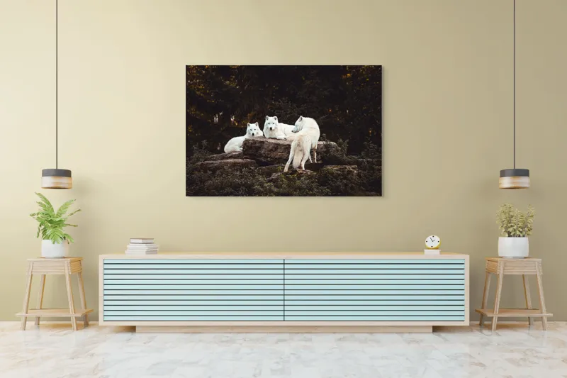 Tablou Canvas, "Lupi albi odihnindu-se în pădure", Lupi, Stânci, Pădure, Vegetație, Odihnă, Priviri, Alb, 150 x 100 cm – poza 6