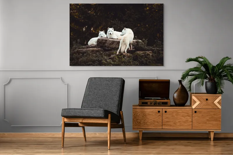 Tablou Canvas, "Lupi albi odihnindu-se în pădure", Lupi, Stânci, Pădure, Vegetație, Odihnă, Priviri, Alb, 150 x 100 cm – poza 8