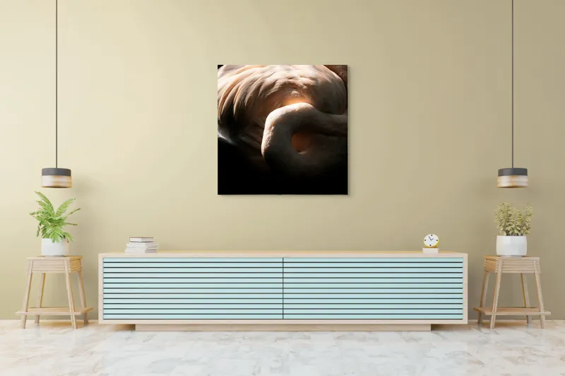 Tablou Canvas, "Flamingo în lumina blândă a soarelui", Flamingo, Eleganță, Lumină, Textură, Contrast, Încovoiat, Grație, Serenitate, 100 x 100 cm – poza 5